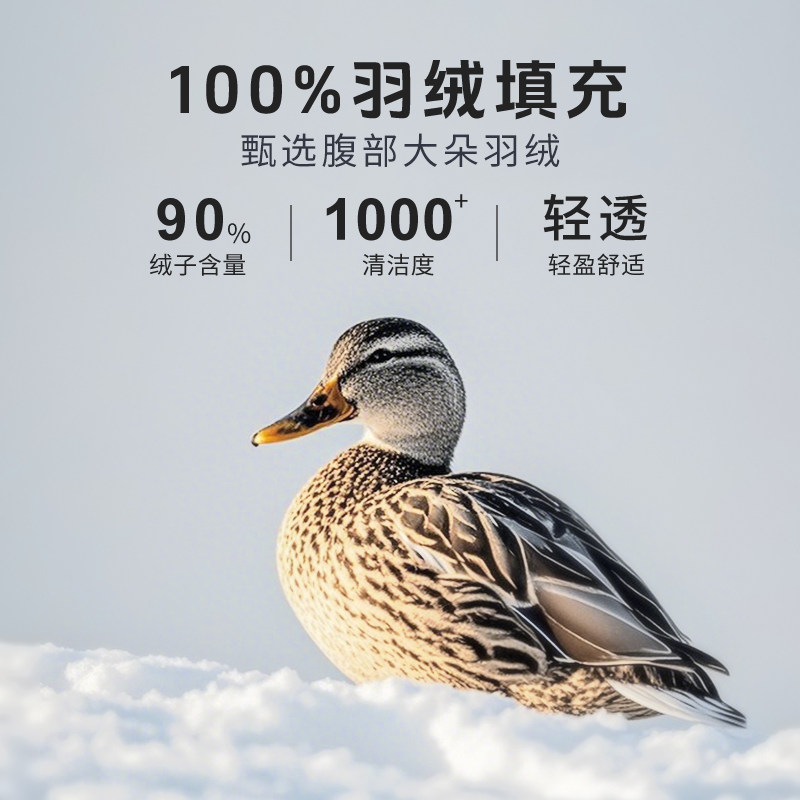 仙娥羽绒被可水洗羽绒夏被凉感空调被夏凉被芯夏季单人双人薄被子,淘宝优惠券,粉丝福利购,淘宝优惠卷