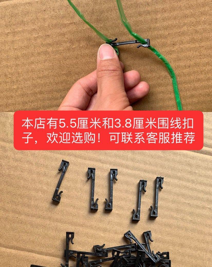 围线豌豆围线,淘宝优惠券,粉丝福利购,淘宝优惠卷