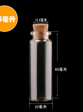 漂流瓶许愿瓶台典木塞瓶
