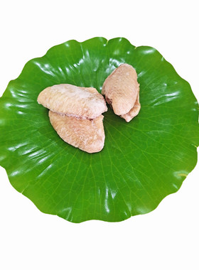 绿色塑料摆放植物摄影道具假树