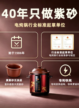 依立快炖紫砂电炖锅5L预约
