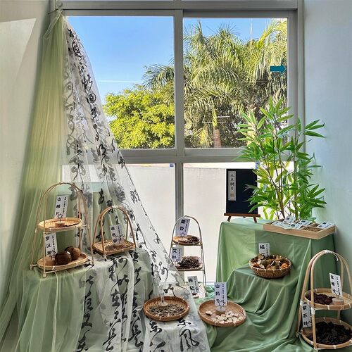 幼儿园春季开学环创绿色布料植物角新中式古风材料书法纱幔挂桌布 - 图1