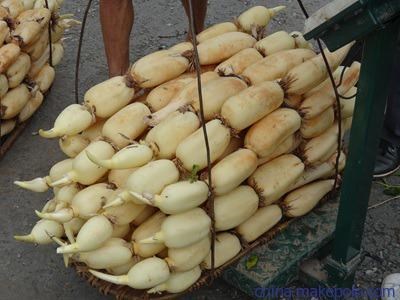 高产食用南斯拉夫雪莲藕 莲藕种根 藕种子荷花深浅水池塘稻田种植 - 图2