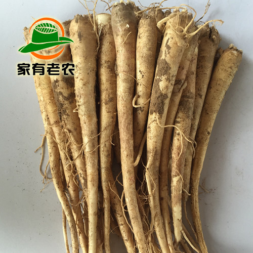 包邮新产鲜桔梗1500克/二年生鲜桔梗/狗宝咸菜/赤峰新产/3斤 - 图0