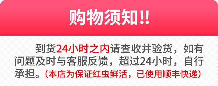 鲜活红虫特大号公虫活体活饵喂鱼饵野钓拉饵鲫鱼钓鱼蚯蚓鱼饵饵料 - 图0