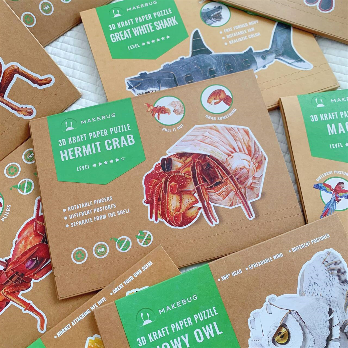 牛货~手工牛皮纸膜DIY昆虫动物模型手工制作生日礼物学生益智科普,淘宝优惠券,粉丝福利购,淘宝优惠卷