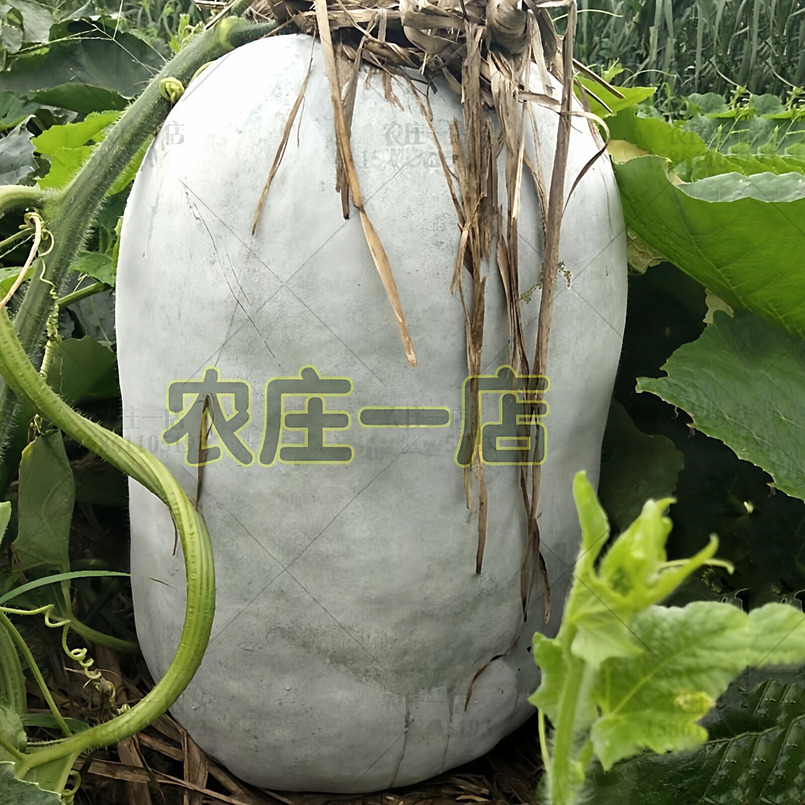 图3