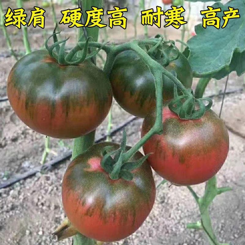 图4
