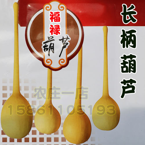 长柄葫芦种子籽种高约80cm观赏爬藤特大巨型超大盆栽种籽种孑籽 - 图3