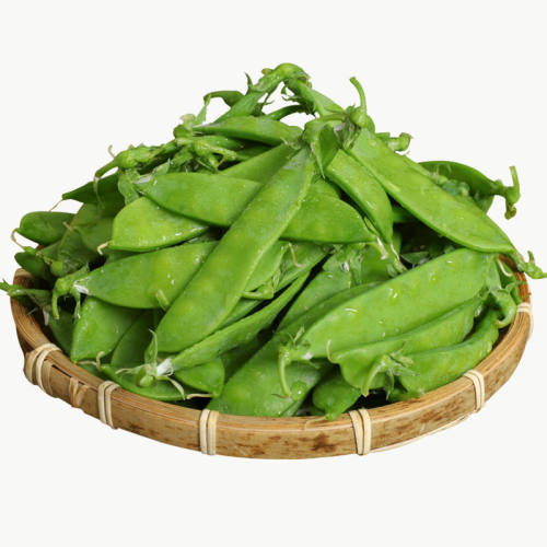荷兰豆种子大软荚高产春秋种籽菜种孑秋冬季种植豌豆角春四季蔬菜 - 图3