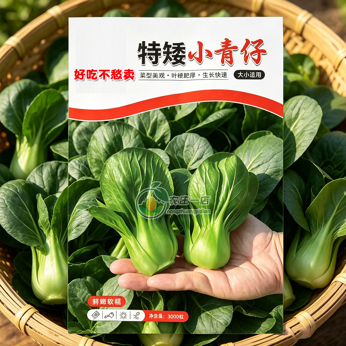 图2