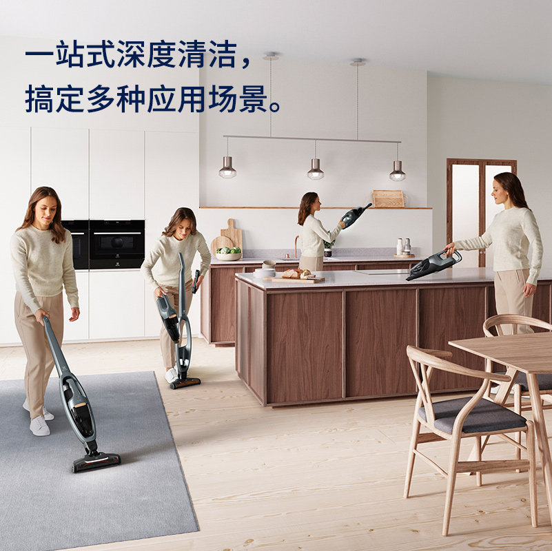 electrolux /伊莱克斯q8吸尘器 伊莱克斯小家电吸尘器