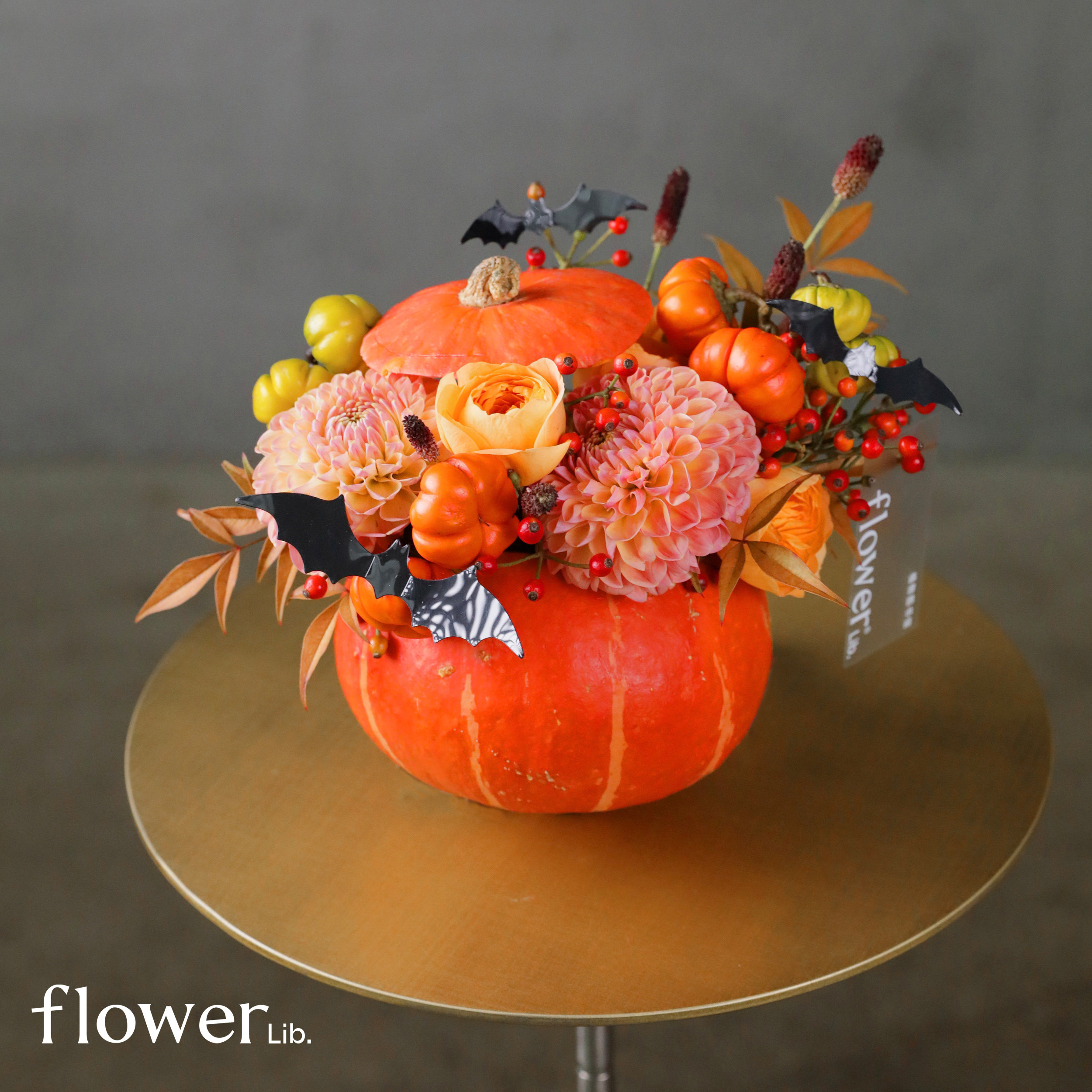 [南瓜派对]植物图书馆万圣节礼物南瓜摆件送朋友居家装饰