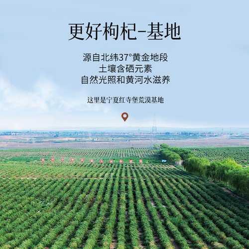 百瑞源枸杞丨红黑枸杞原浆礼盒400ml*4盒 宁夏鲜杞官方旗舰店送礼 - 图2