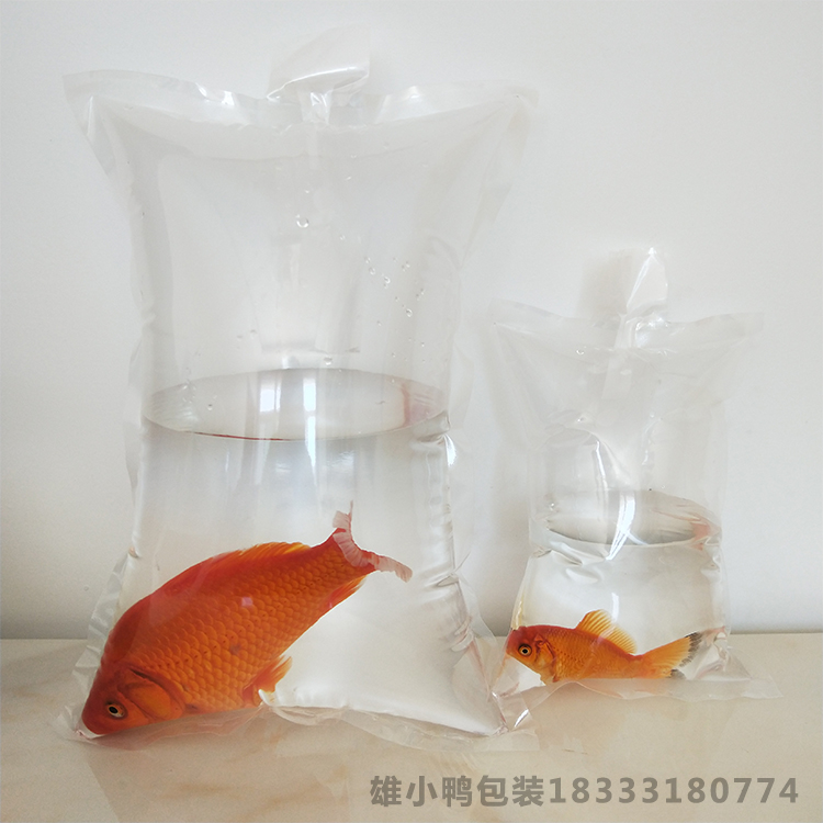 观赏鱼打包装加厚活体充氧气快递运输水族海鲜一次性透明塑料袋子 - 图1