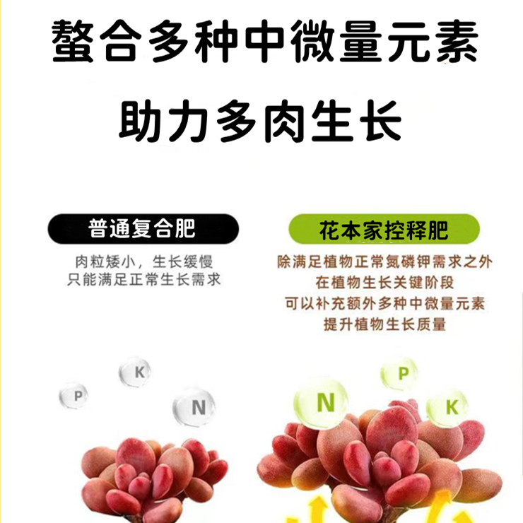 多肉专用肥料控释肥颗粒缓释肥盆栽绿植肉嘟嘟营养家用通用复合肥 - 图1