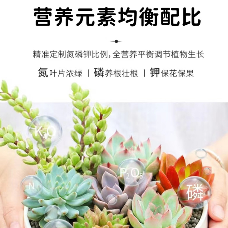 多肉专用肥料控释肥颗粒缓释肥盆栽绿植肉嘟嘟营养家用通用复合肥,淘宝优惠券,粉丝福利购,淘宝优惠卷