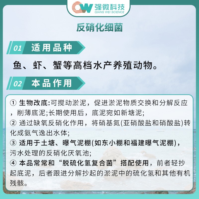 强微反硝化细菌氨氮速降亚硝酸盐速降水质改良剂水产养殖鱼药em菌 - 图0