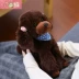 Dễ thương chó poodle mô phỏng đồ chơi sang trọng 趴趴 Teddy dog ​​búp bê búp bê cô gái quà tặng sinh nhật - Đồ chơi mềm