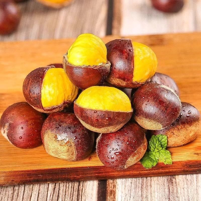 板栗生新鲜鲜菜板栗辽宁丹东应季生板栗板粟栗子5斤现摘栗子板栗,淘宝优惠券,粉丝福利购,淘宝优惠卷