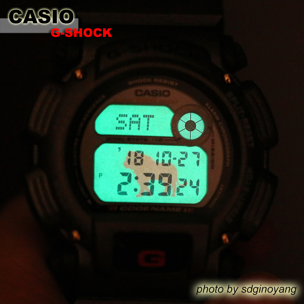 CASIO卡西欧G-SHOCK DW-8800MM-3T 马赛马拉国家公园限定全新现货