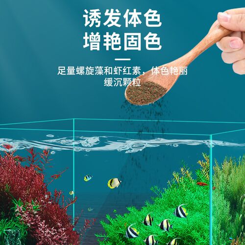 yee鱼食观赏鱼饲料孔雀斑马灯科小颗粒斗鱼热带鱼凤尾高蛋白鱼粮 - 图2