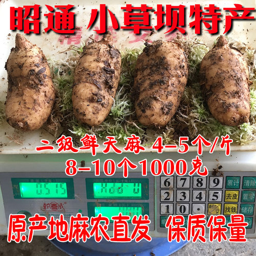 【买3送1】新鲜天麻云南昭通小草坝非野生天麻500克大果4-5个1斤 - 图0