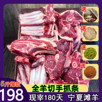 Ningxia Beach Mutton Fresh Goat 5 Banks 5 Banks of Sheep Sheep Hands Grab of Non-Salt Pool Xinjiang Inner Mongolia Sheep Scorpion