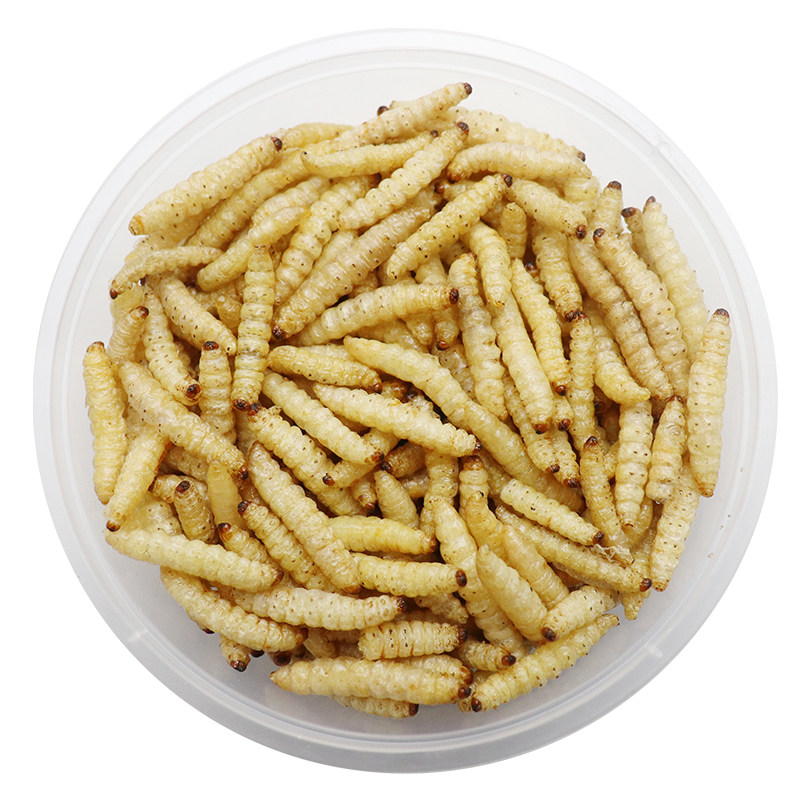 无菌葡萄蜜虫蜂蜜玉米虫冻干仓鼠守宫鬃狮蜥蜴乌龟蜜袋鼯角蛙粮食,淘宝优惠券,粉丝福利购,淘宝优惠卷