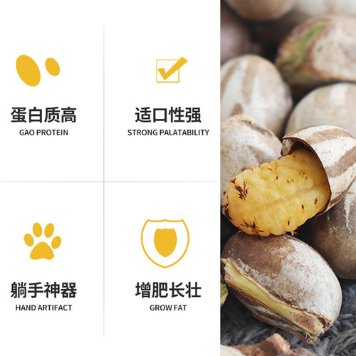 无菌坦克虫昆虫养殖活虫杨拉罐蜜袋鼯小仓鼠刺猬守宫乌龟角蛙食物 - 图0