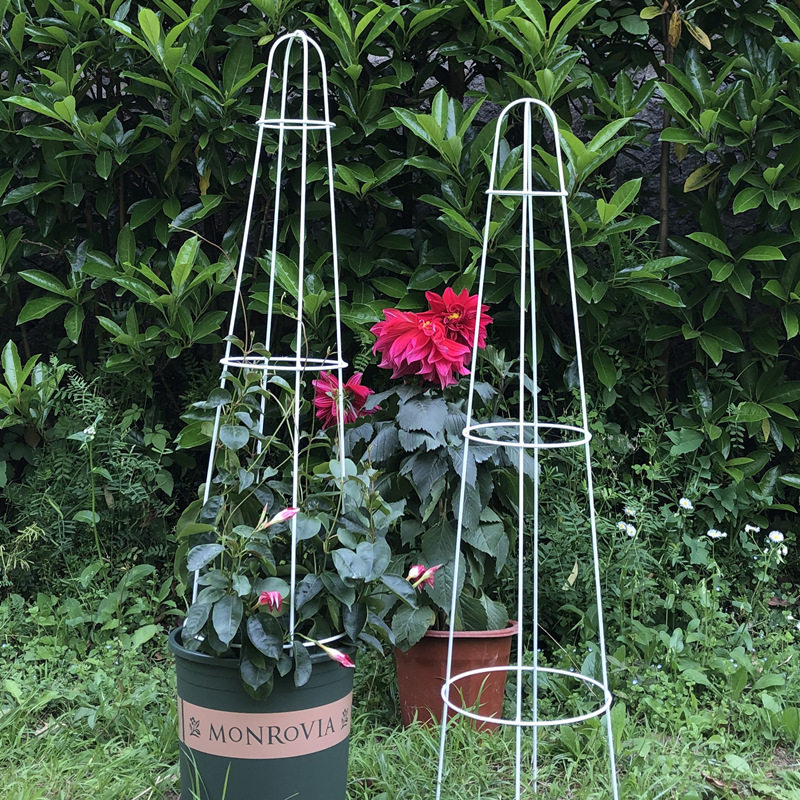 铁艺三环花园球兰月季花架铁线莲爬藤架支架杆攀藤植物花艺架子_虎窝淘