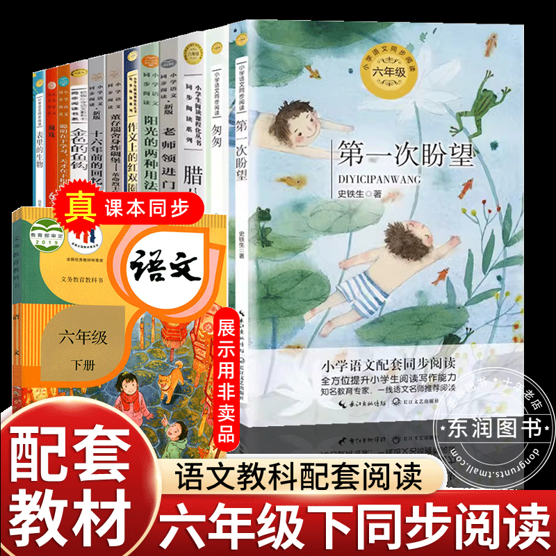 正版史铁生第一次盼望六年级下册课外书必读老师推荐经典小学语文同步阅读统编教材配套大字插图儿童版课文作家作品系列那个星期天 - 图0