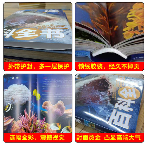 精装大绘本儿童海洋百科全书揭秘海底世界动物生物概况形成过程世界各地分部岛屿鲨鱼珊瑚海龟小学生三四五年级课外书必读老师推荐 - 图2