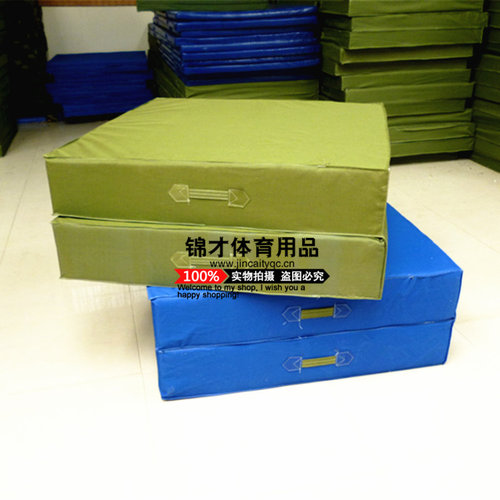 跳高空翻垫舞蹈垫跑酷武术训练防护垫跆拳攀岩体操垫幼儿园地垫 - 图1