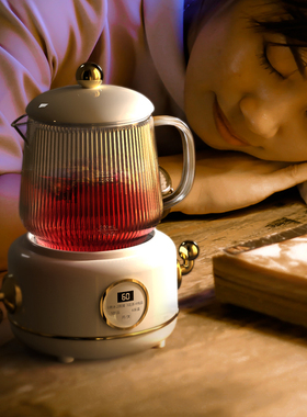 养生壶家用多功能泡茶壶