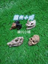 Pet Spider Scorpion Centipede Angled Frog in Scape Emulation Resin Crocodile Antelope Rhinoceros Ape Skull