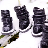 Собачьи туфли плюшевые зимние туфли Biri plus и осенний и зимний год теплые теплые холодные холодные хлопковые туфли маленькие собачьи снежные ботинки