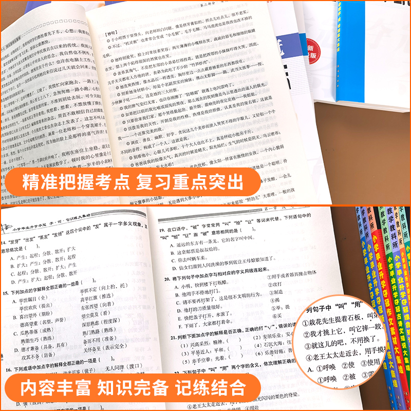 小学毕业升学夺冠知识大集结语文字词句古诗文成语名著文学常识考点大全综合专项训练小升初题小考复习总复习资料冲刺辅导资料68所 - 图0