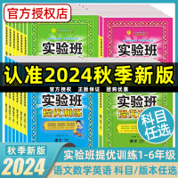 【凑单9元】2024秋季新版实验班提优训练