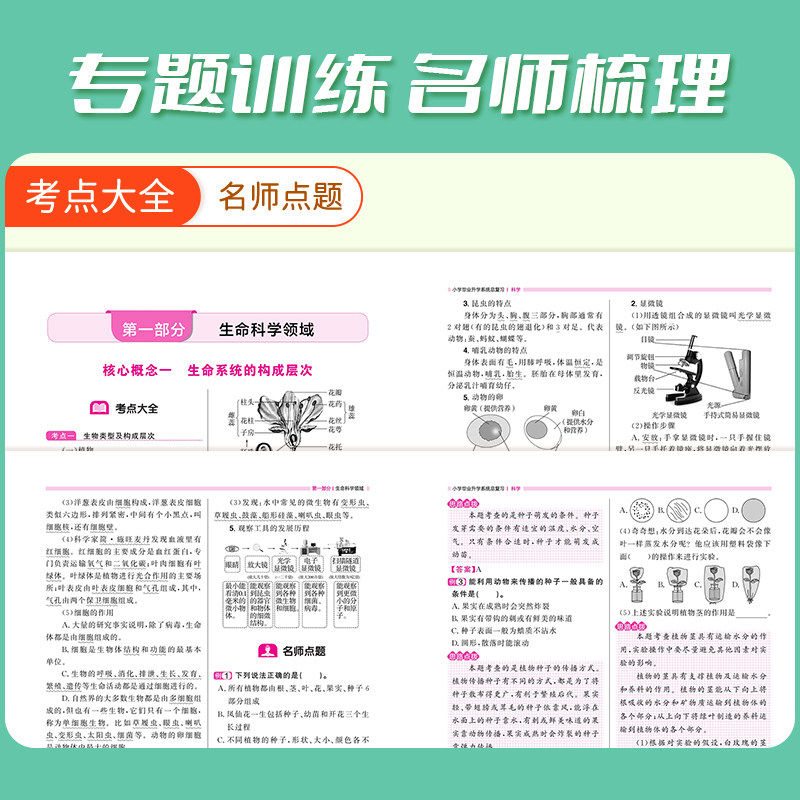 【浙江适用】2026阳光同学小学毕业升学系统总复习科学衔接六年级下册小升初总复习资料人教版必刷冲刺真题卷期末冲刺100分试卷子