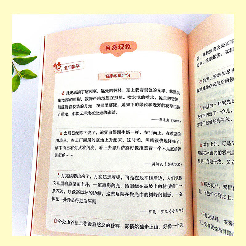 学霸都在用的作文分类金句 小学生写作解析技巧素材精选小学三四五六年级抒情写景写人状物叙事好词好句好段积累优秀作文大全书籍