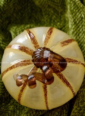 蜜蜡润玉感茶咖色瓜藤巧克力南瓜