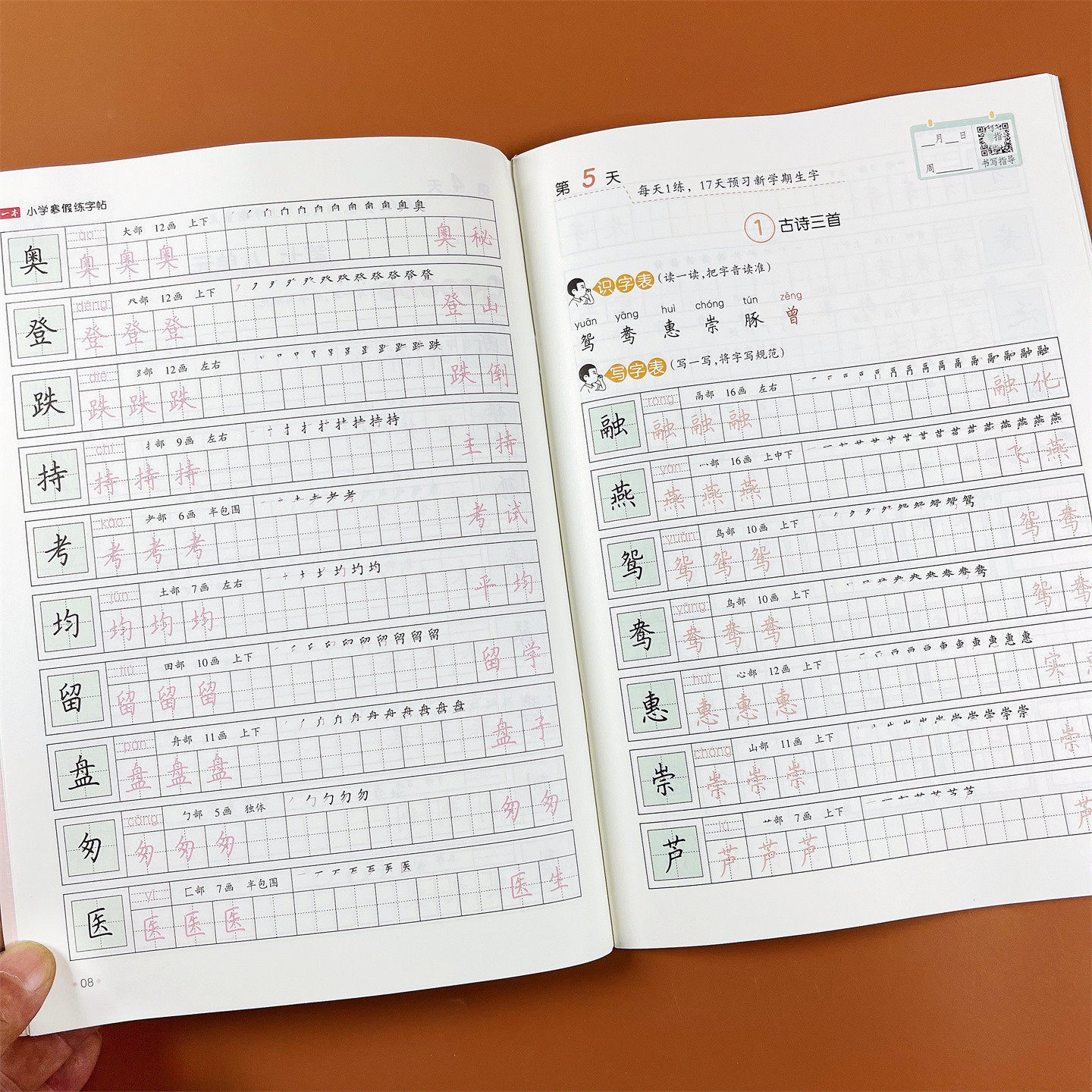 一二三年级语文寒假练字帖看拼音写词语生字组词造句笔画笔顺练写