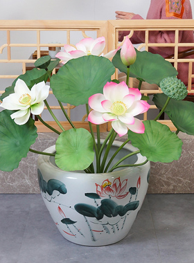 手感花中国大陆荷花花卉