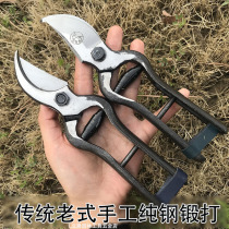 Old fashioned blacksmith forged with earth branches Scissors Hills Fruit Trees Scissors Repair Branches Cut Gardening Small Scissors To Fix Branches Antique Shears