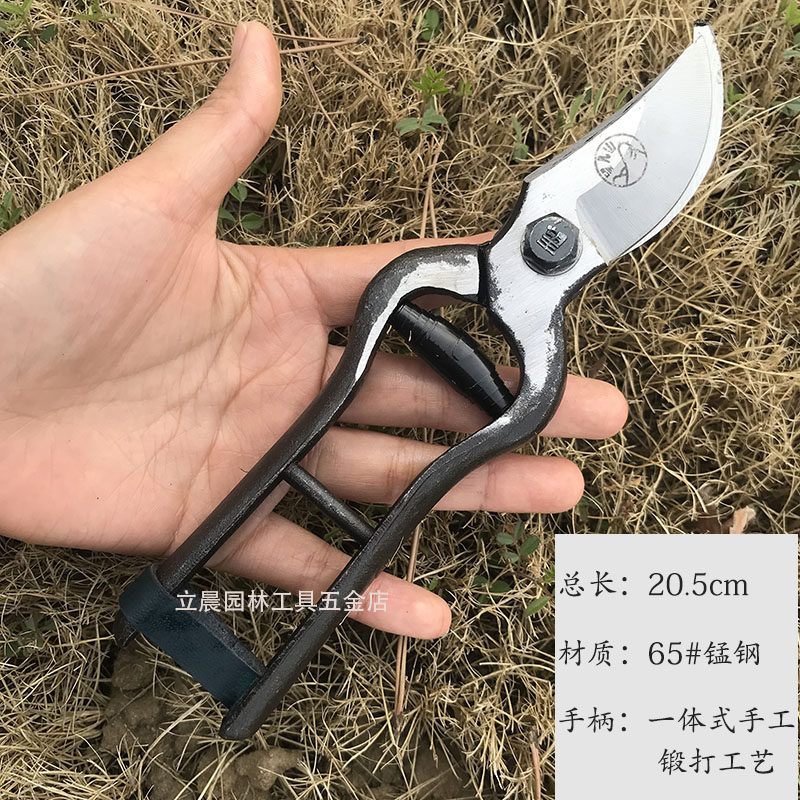 老式铁匠锻打土枝剪望儿山果树剪刀修枝剪园艺小剪刀修树枝古董剪,淘宝优惠券,粉丝福利购,淘宝优惠卷