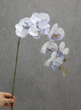 仿真花单支3D胶片7头蝴蝶兰
