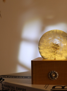 蒲公英氛围小夜灯树脂工艺品送礼摆件永生花木质球母亲节礼物