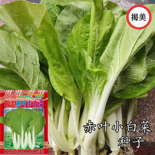 蔬菜种子 小白菜种子 潮汕高产好吃赤叶小白菜籽 菜籽 阳台园艺 - 图1