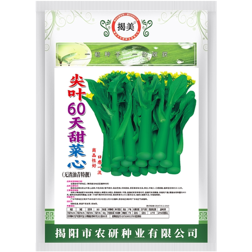 揭美尖叶60天甜菜心种子 甜脆无渣油青甜菜心 阳台农业蔬菜种子 - 图3